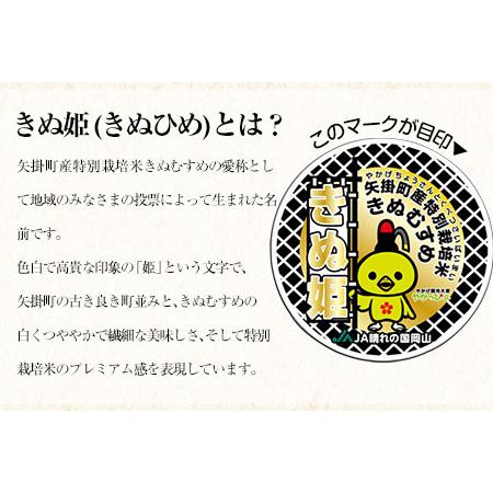 ふるさと納税 令和4年産 特別栽培米 きぬむすめ10kg 5kg×2袋 岡山県産 白米 精米 単一原料米 矢掛町《30日以内に順次出荷(土日祝除く)》JA.. 岡山県矢掛町