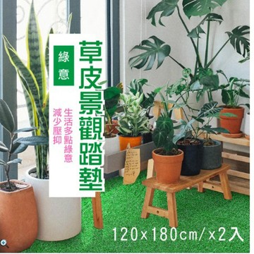 裝飾地毯 [范登伯格] 綠意仿真草皮地墊 二入組(120x180cm)