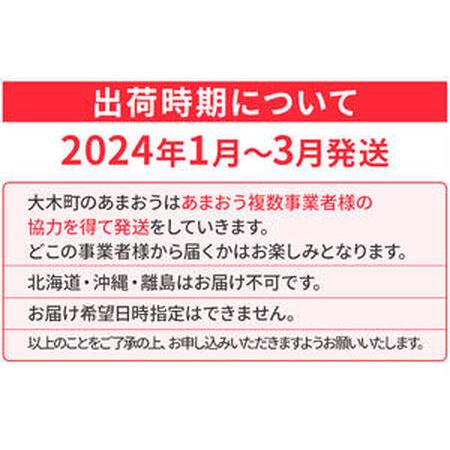 ふるさと納税 先行予約 福岡育ち あまおう いちご 約270g×4パック 合計1080g  CB223 福岡県大木町