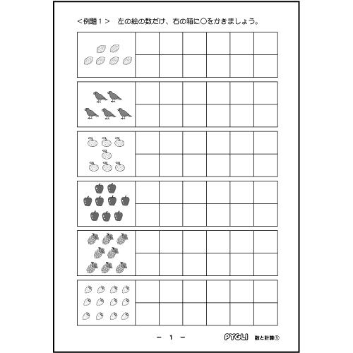 能力育成問題集20 数と計算1