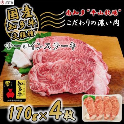 ふるさと納税 南知多町 牛肉 サーロインステーキ 170g×4枚 知多牛 響