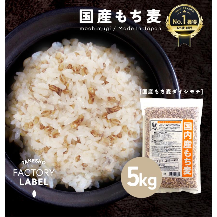 国産 もち麦 5袋セット ダイシモチ 1kg 無添加 送料無料 ヘルシー 食物繊維 栄養 美容 ダイエット 健康 健康食品 種商 雑穀 雑穀米