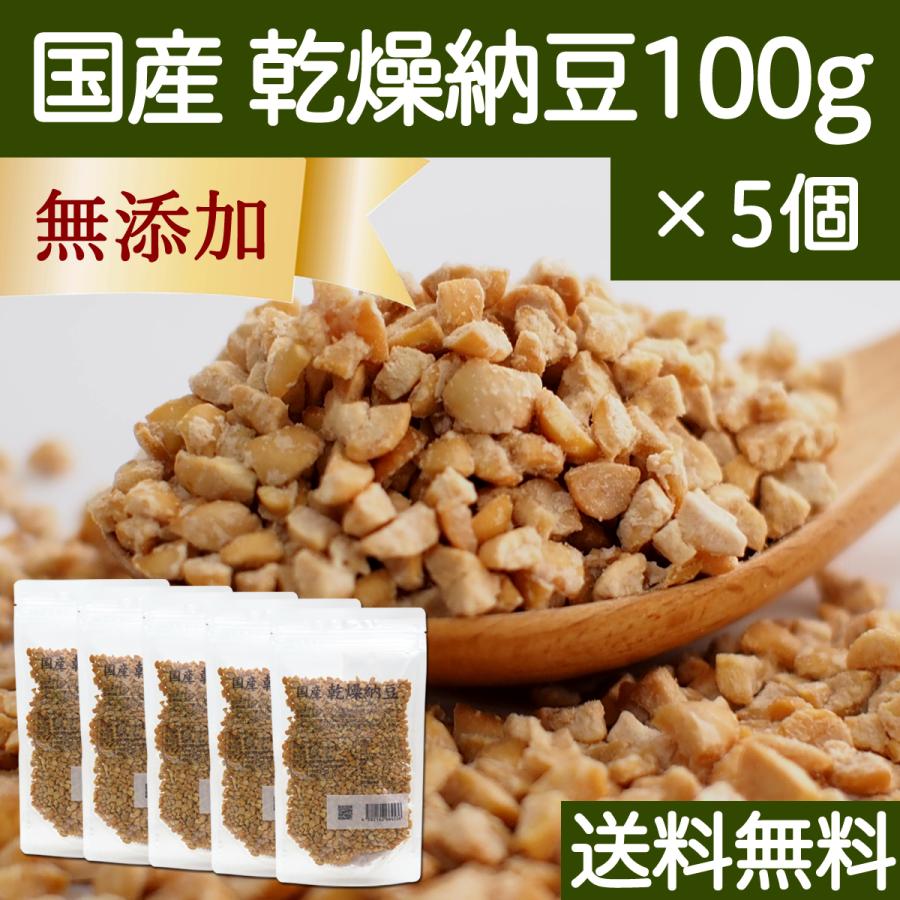 乾燥納豆 100g×5個 ドライ納豆 ひきわり納豆 無添加 犬 国産 送料無料