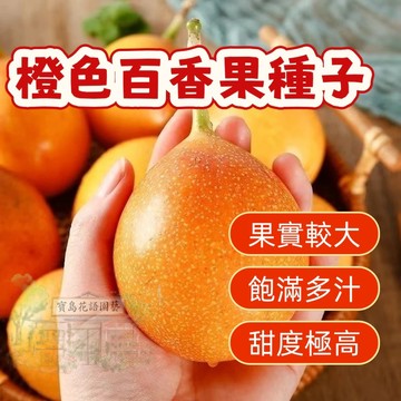 🔥橙色百香果種子BXG-1 西番蓮種子 時計果、時鐘果Passion Fruit多汁可口,果實飽滿薄皮四季盆栽水果種子