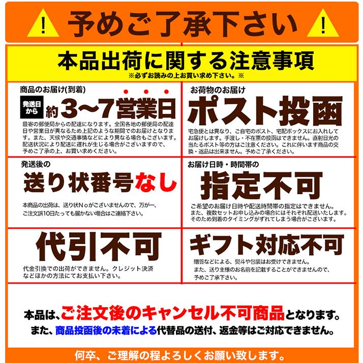 送料込み(送料無料) ひとくちカレー 30g×10袋 (発送遅いです)TEN