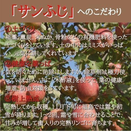  りんご サンふじ 最高級 2L 5kg 箱（約13〜14個入り） 産地直送 送料無料 12月上旬〜順次発送 福島 りんご屋さとう