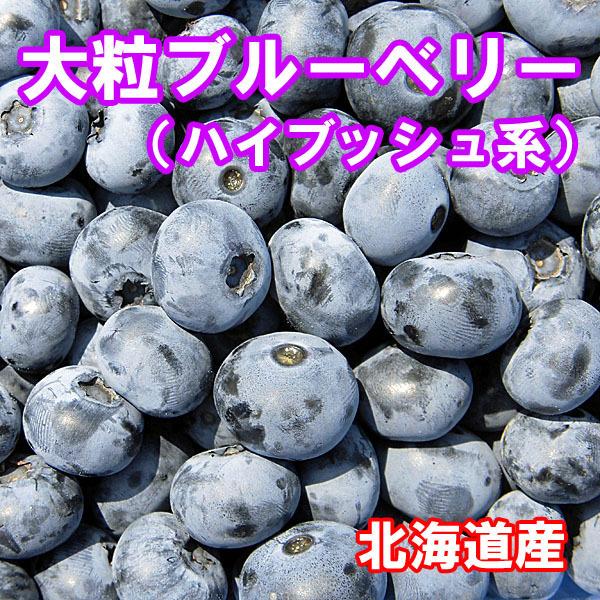 北海道産 令和5年収穫 ブルーベリー（冷凍）Ｌサイズ５kg