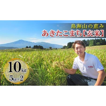 ふるさと納税 鳥海山の恵み 農家直送！ あきたこまち 10kg(5kg×2袋 玄米) 秋田県にかほ市