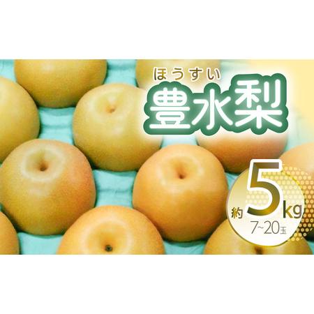 ふるさと納税 豊水梨 約5kg 7〜20玉 八代市産 熊本県八代市