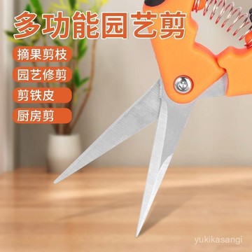 🌟臺灣倉出貨🌙多功能進口剪刀葡萄粒摘果剪不銹鋼省力園林花藝剪子修枝剪園藝剪 花藝剪刀 修枝剪 園藝剪 長刃 芽切剪 K