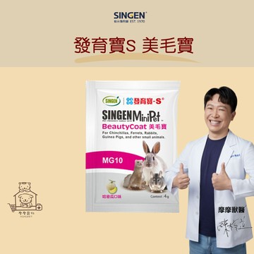 【動物醫院直送】免運隔日配 SINGEN 信元 小寵系列MG10 美毛寶 4g 哈密瓜口味 鼠 貂 兔 皮毛 海藻 龍貓