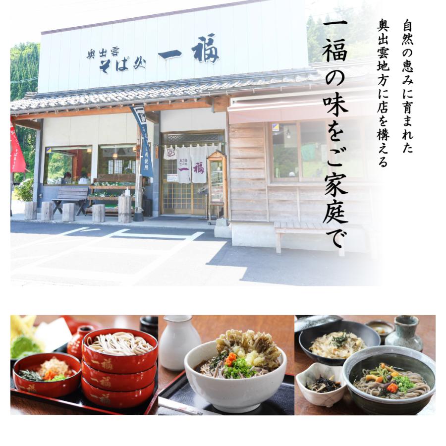 出雲そば 蕎麦 そば お徳用 送料無料 40人前 出雲袋そば 20袋 つゆ付 お取り寄せ グルメ 家庭用