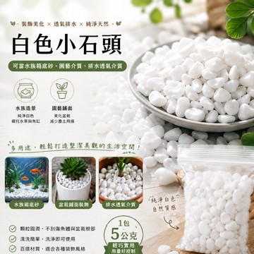 🔥台灣出貨🔥水族箱底砂 園藝石頭 多肉介質 珍珠石 白色鵝卵石 白米石 小石頭 植栽裝飾