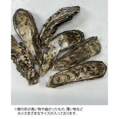 ふるさと納税 厚岸町 THE訳ありオイスター　規格外訳あり殻付かき(マルえもん)　約4kg