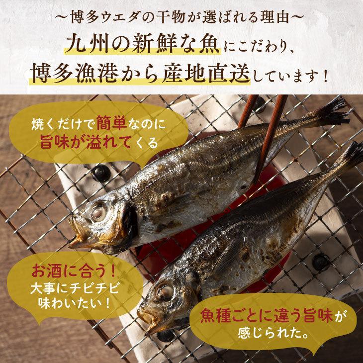 産地直送九州 お取り寄せ 干物 ひもの 食べ比べ 豪華 魚 添加物不使用 無添加 お歳暮 ギフト 贈答 記念 おつまみ 帰省暮 送料無料