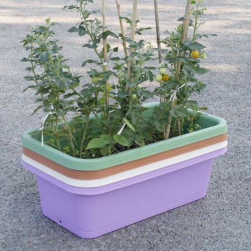 草莓盆栽用盆大型落地大大蒜種草莓的種植盆長方形花盆長條型