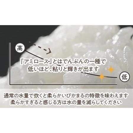 ふるさと納税 ＜頒布会＞精米5kg×6か月 南魚沼産ぴかまる国際総合部門金賞受賞_AG 新潟県南魚沼市