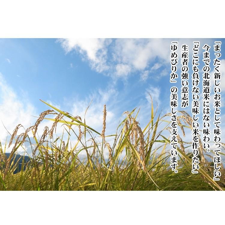 新米 お米 10kg 白米 送料無料 玄米 ゆめぴりか 5kg×2袋 北海道産 令和5年産 1等米 あす着く食品 北海道・沖縄は追加送料