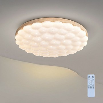 48W 遙控吸頂燈 L01-2202F