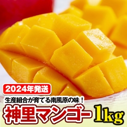 生産組合が育てる南風原の味　神里マンゴー1kg