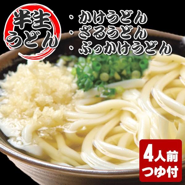 讃岐うどん 半生 4人前 かけうどん ぶっかけうどん ざるうどん つゆ付 ご自宅 在宅