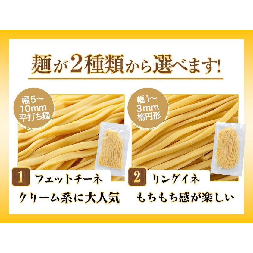 パスタ 本格 生パスタ 送料無料 選べる 2種 九州産 小麦 フェットチーネ リングイネ 8食 (2食×4袋) 1袋200g 国産 麺