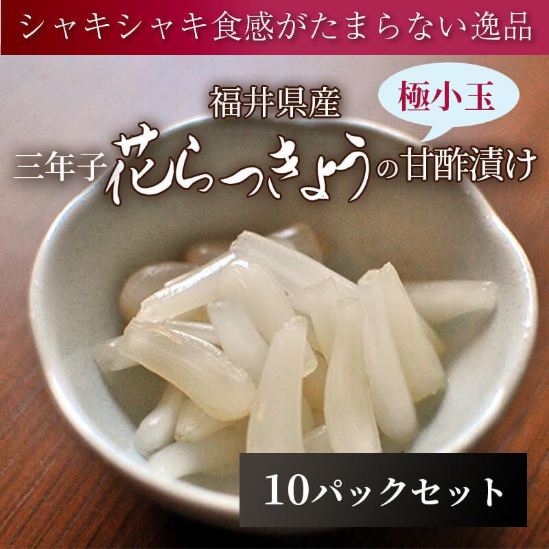 福井産 極小玉 三年子 花らっきょうの甘酢漬け 10パック