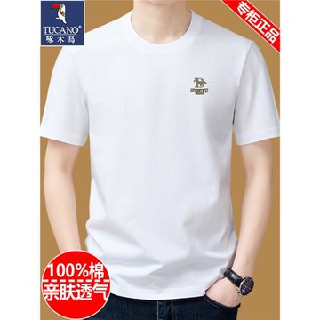 啄木鳥純棉短袖t恤男士圓領夏季2025新款體恤衫寬松上衣半袖男裝T