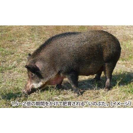 ふるさと納税 金猪豚 バラ スライス 1kｇ 兵庫県南あわじ市