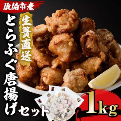 ふるさと納税 佐伯市 とらふぐ 唐揚げ セット (合計約1kg)