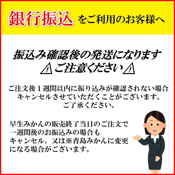 みかん 三ケ日みかん お歳暮 早生 Lサイズ(10kg)