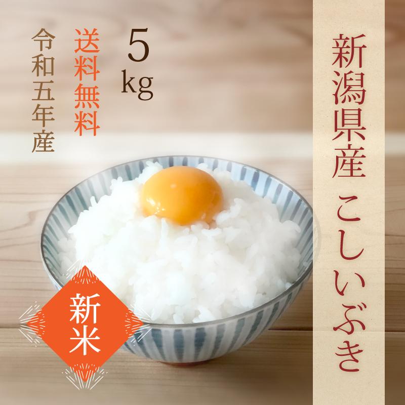 新潟県産こしいぶき 新米 白米 令和5年産 5kg 精米