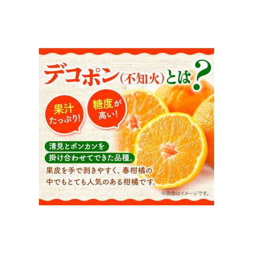 ふるさと納税 和歌山県 日高川町 紀州有田産の大玉デコポン約5kg(12玉〜15玉入り・青秀以上) 厳選館 《1月上旬-4月上旬頃より順次出荷》和歌山県 …