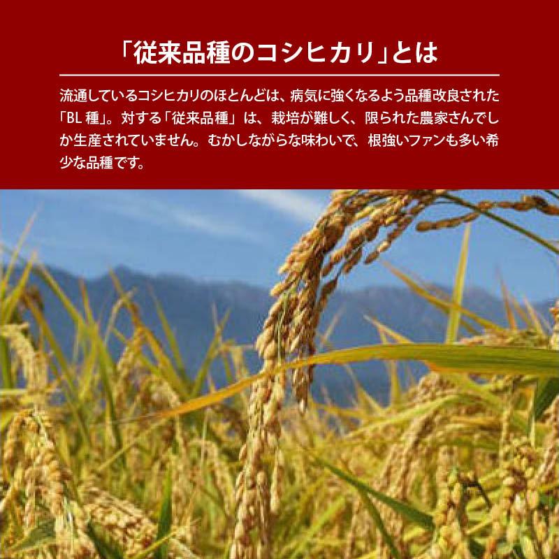 新潟県旧下田村産こしひかり 5kg 国産 有機飼料使用 コシヒカリ 新潟県産 大粒 美味しいお米 従来品種 もっちり食感 お米の隠れた名産地 有機JAS認可 従来