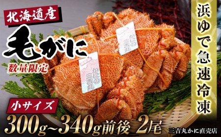 北海道産 冷凍ボイル毛ガニ (300g-340g前後) 2尾