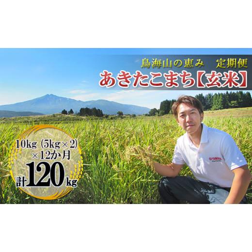 ふるさと納税 秋田県 にかほ市 10kg×12ヶ月 鳥海山の恵み 農家直送！ あきたこまち（玄米・5kg×2袋）