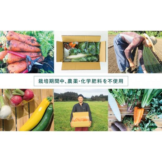 ふるさと納税 鹿児島県 南さつま市 福元農園 旬のお野菜 おまかせセット 1箱（5〜8品目） 野菜 詰め合わせ 数量限定 鹿児島 南さつま…