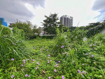 八德興豐段土地~位於八擴重劃區內兼具交通便利｜桃園市八德區興豐段