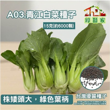 【綠藝家】A03.青江白菜種子15克(約6000顆)(青梗湯匙菜，青江菜  綠色葉柄，株矮頭大)葉菜類種子