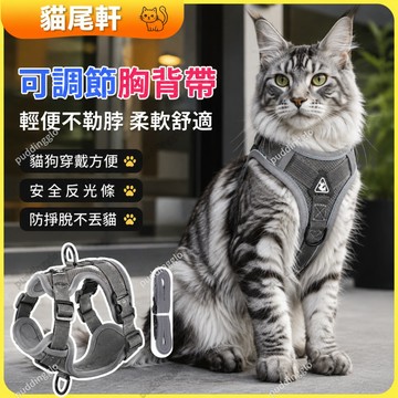 🐾 現貨⚡️ 寵物胸背帶 夜間反光 貓胸背帶 背帶式牽引繩 貓牽繩 防掙脫牽引繩 遛貓 貓咪牽繩 現貨牽引繩 萌寵出行