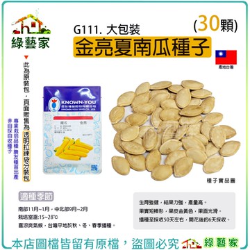 【綠藝家】大包裝G111.金亮夏南瓜種子30顆(櫛瓜) 較耐高溫，可單為結果 生育強健，結果力