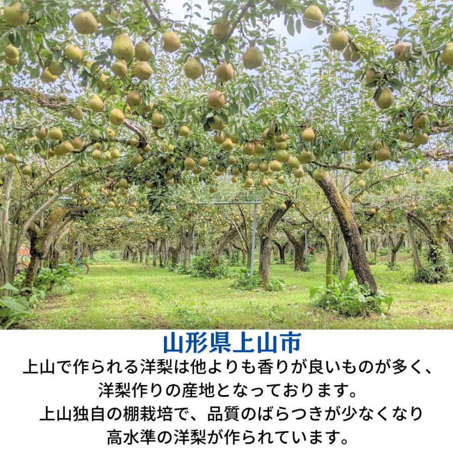 洋梨  洋なし ラ・フランス 約3kg 特秀 ２L〜４L 8〜10玉 贈答用 山形県上山市 ラフランス 《11 上旬〜11 中旬より出荷》