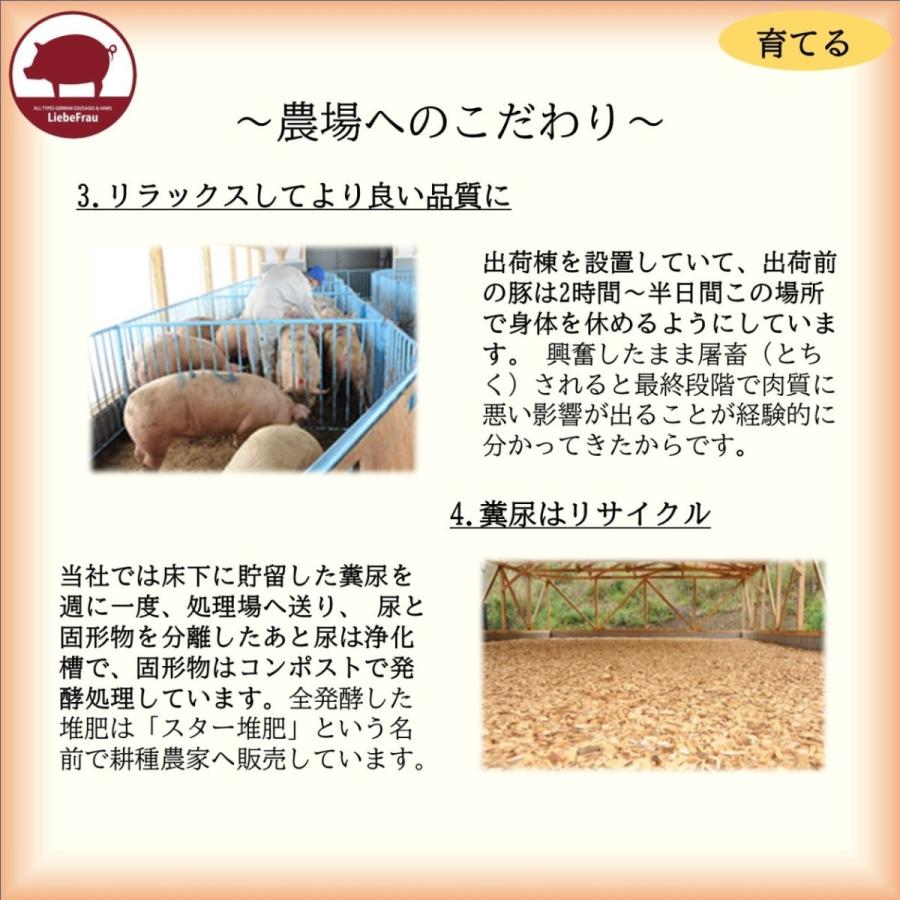 ハム ボンレスハム 無塩せき ブロック 徳島県産 阿波美豚 280g