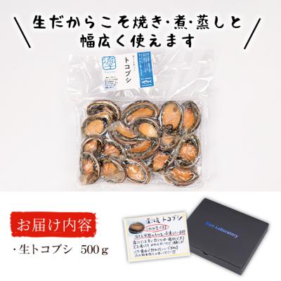 ふるさと納税 佐伯市 冷凍 生トコブシ (500g)