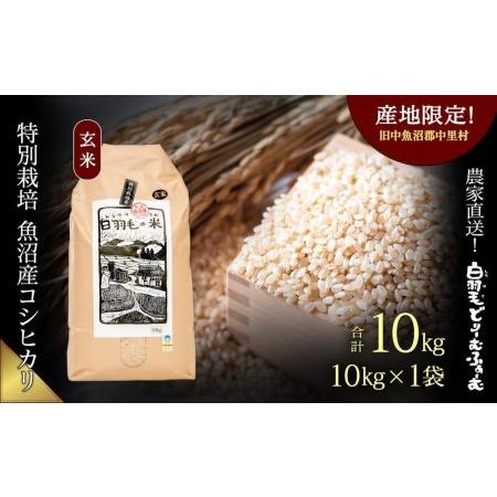 ふるさと納税 ≪令和5年産≫　農家直送！魚沼産コシヒカリ特別栽培「白羽毛の米」玄米(10kg×1袋) 10kg 新潟県十日町市