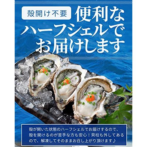 牡蠣 旬凍 生牡蠣 ハーフシェル １０個 生食可 殻剥き不要 海鮮 バーベキュー 牡蛎