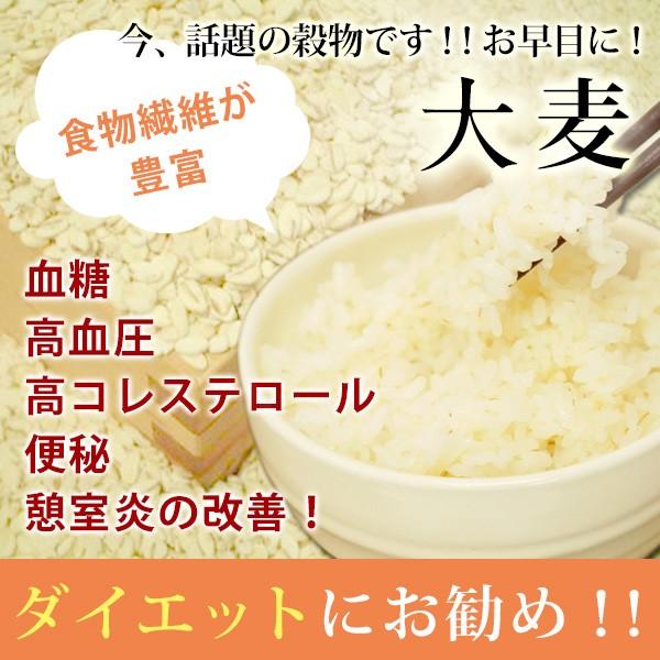 大麦 5kg 国産　令和4年産