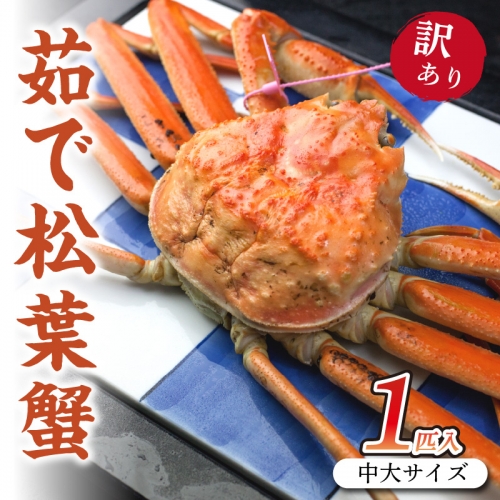 日本海産　茹で松葉蟹中大サイズmatubakani800