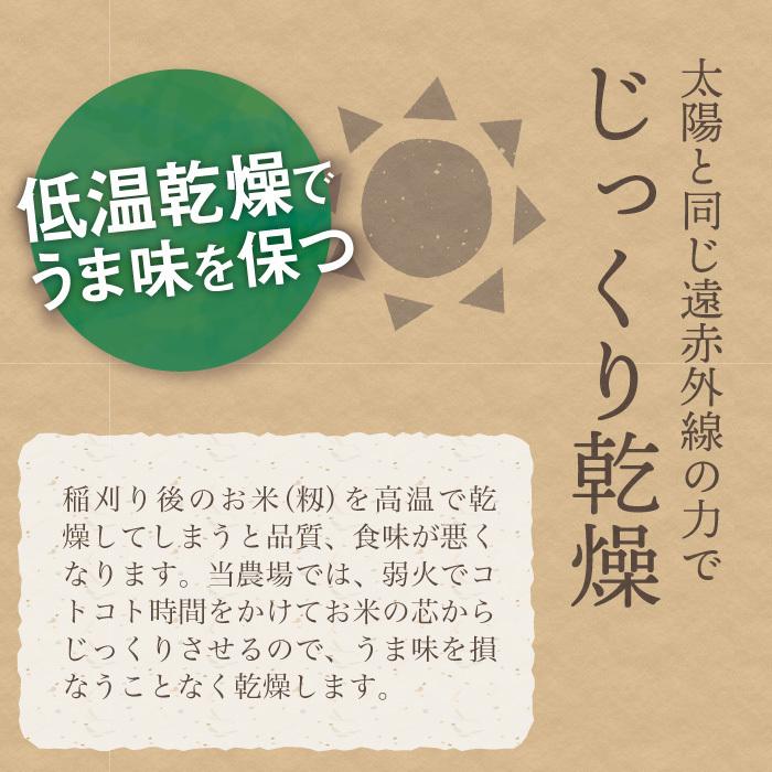 無洗米 新潟県産 コシヒカリ 特別栽培米 24kg 令和5年産 新米 こしひかり 24キロ 農家直送 減農薬