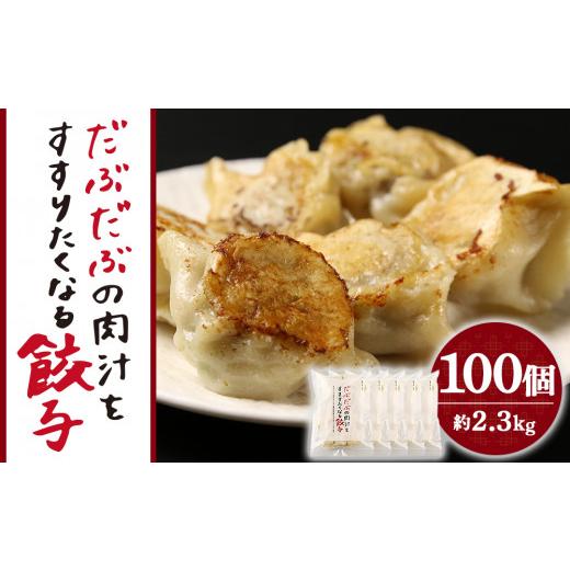 ふるさと納税 北海道 白老町 だぶだぶの肉汁をすすりたくなる餃子 100個（20個入×5パック）